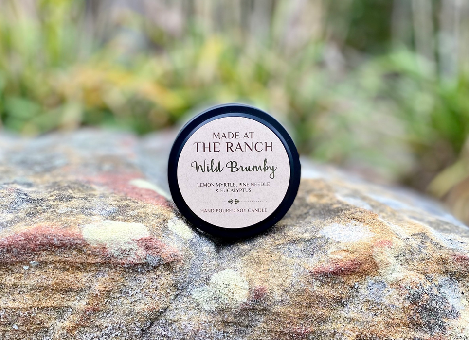 Wild Brumby Candle - Sampler Tin